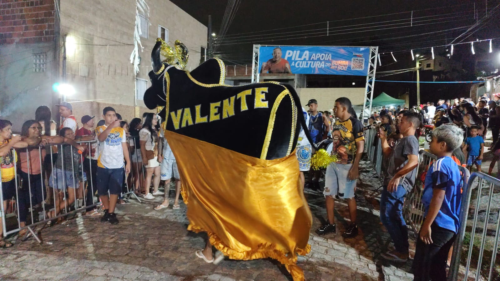 Bois de carnaval se reúnem no próximo domingo na Vila Cabral de Santa Rosa Bois de carnaval se reúnem no próximo domingo na Vila Cabral de Santa Rosa